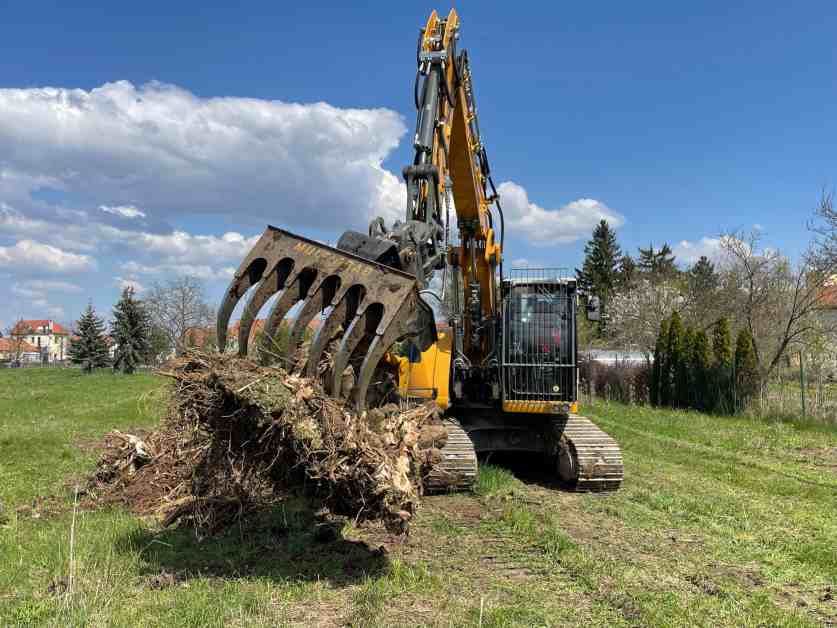 Likvidace, frézování a drcení pařezů